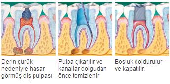 https kirikhanadsm saglik gov tr yazdir 82af8bf15ecc0ac34de01464d31b6ebc